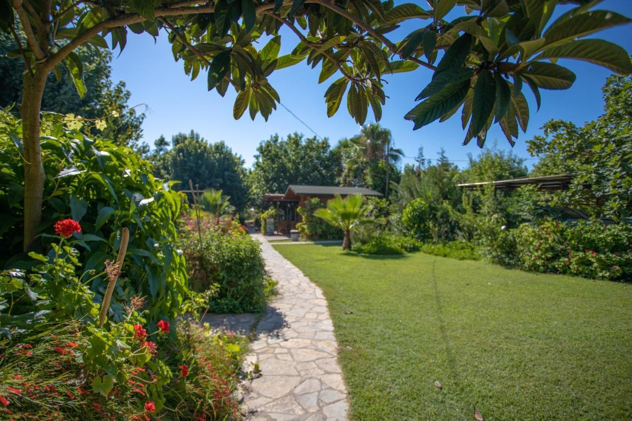 Ugur Pansiyon Bungalows Cirali Exterior foto