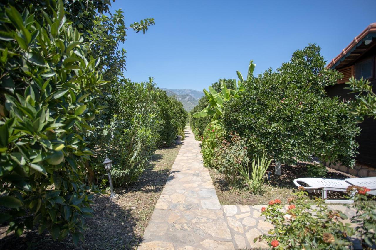 Ugur Pansiyon Bungalows Cirali Exterior foto