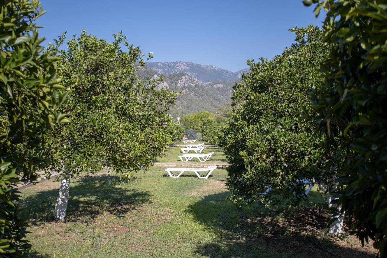 Ugur Pansiyon Bungalows Cirali Exterior foto