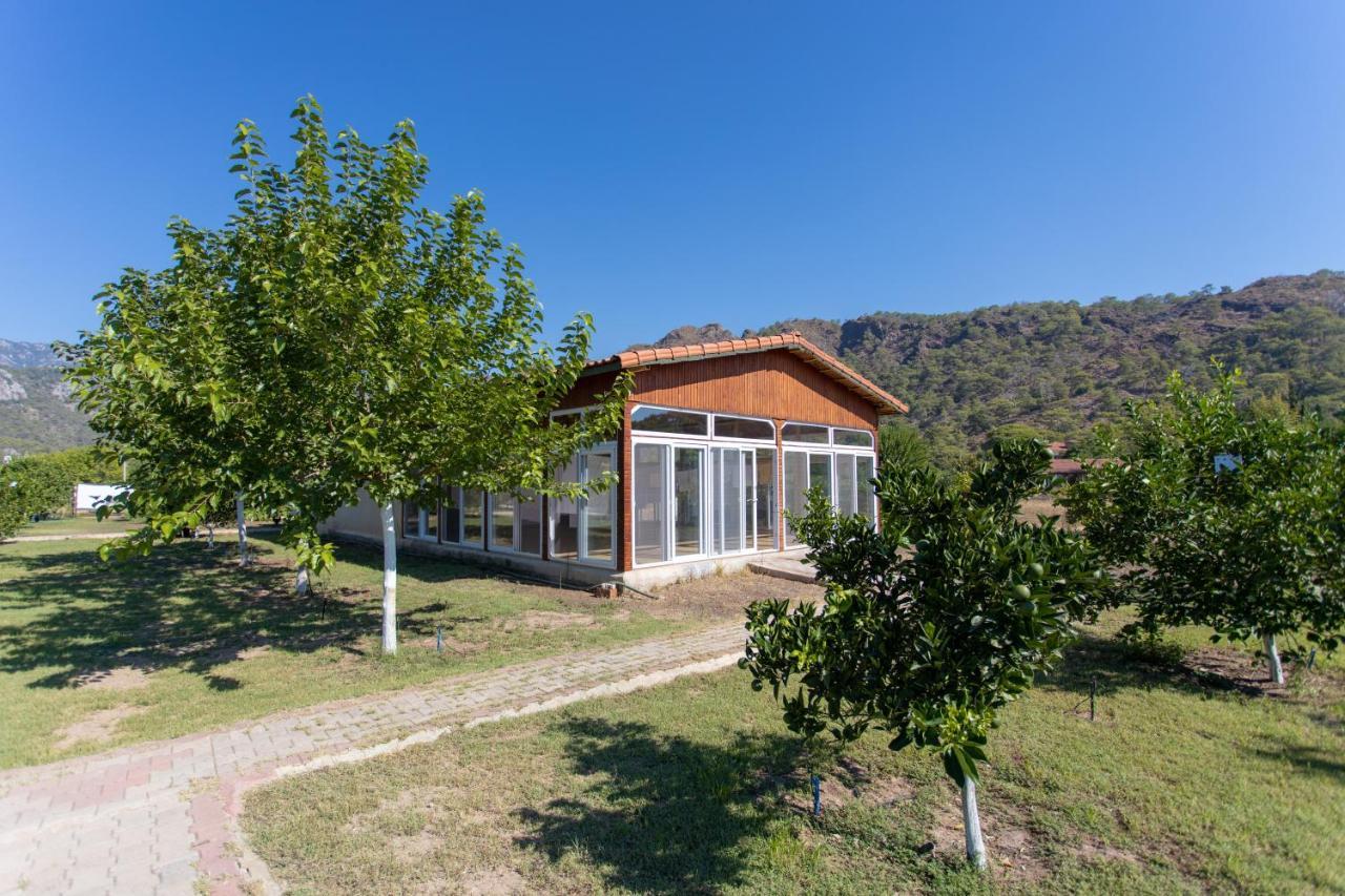 Ugur Pansiyon Bungalows Cirali Exterior foto