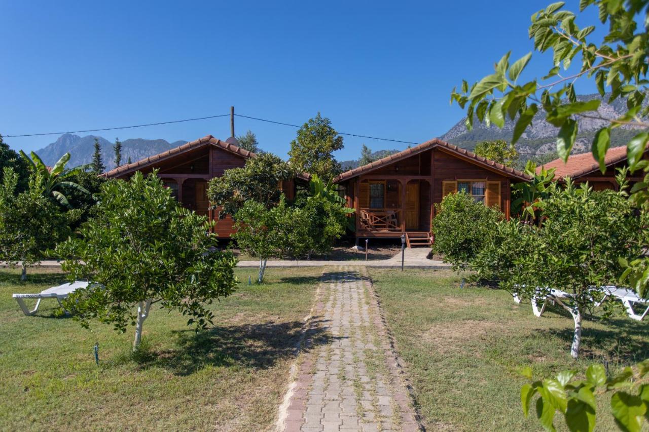 Ugur Pansiyon Bungalows Cirali Exterior foto