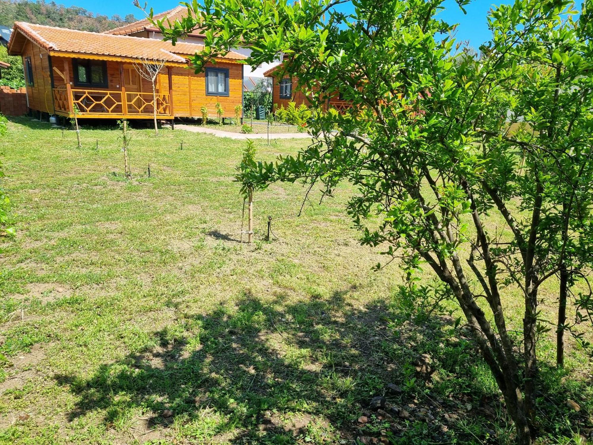 Ugur Pansiyon Bungalows Cirali Exterior foto